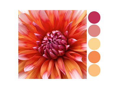 Color palette- Eye Catchy brightandsubtle colorpalette design graphic design nature photography summercolors summerpalette