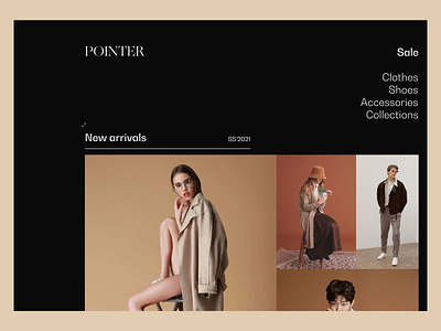 POINTER Website Concept (black)