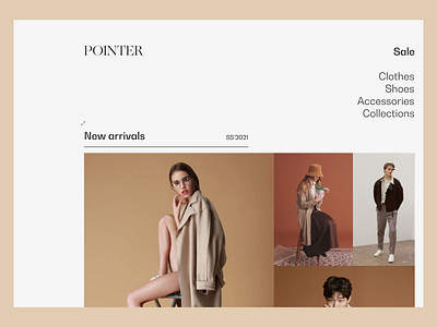 POINTER Website Concept (white)