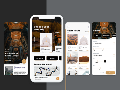 Travel Application app design interface mobile mobile app mobile app design training travel ui ux