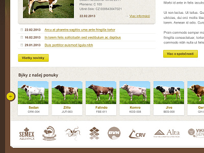 Cattle web site brown cattle fireworks pattern slider texture yellow