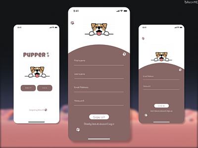 PUPPER APP SIGN UP SCREEN animation dailyui design figma ux