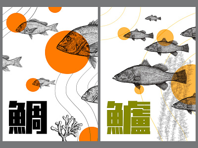 The Fishes 1 design illustration