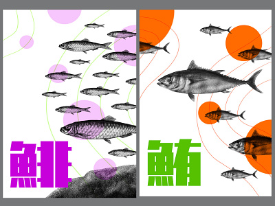 The Fishes 3 graphic design