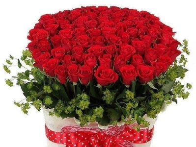 Top 10 shop hoa tươi giá rẻ uy tín tại Gia Nghĩa Đắk Nông giao hoa tận nơi tại gia nghĩa hoa tươi online shop hoa tươi shop hoa tươi tại daknong shop hoa tươi tại gia nghia
