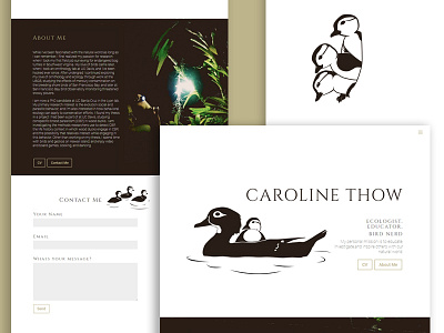 Duck Biologist Portfolio Showcase about aix sponsa bird branding cv duckling ducks illustration minimal portfolio research website