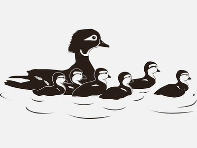 Wood Duck (aix sponsa) - Duckling Flock animal bird branding draw duckling ducks flock illustration minimal portfolio silhouette vector