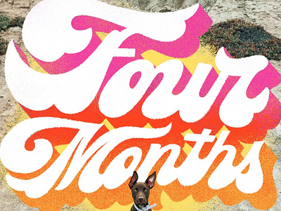 Laika turns 4 months ❤️ custom dog gradient grain handlettering lettering letters milestone procreate puppy retro script summer texture type typography