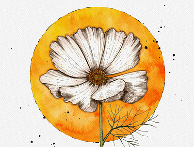 cosmos flower art bloom card drawing fantasy floral floral art flower flower illustration flowers hand painted illustration inviration moon painted petal