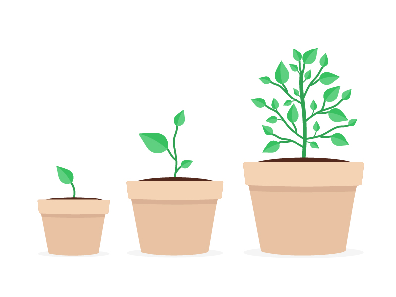 Flat Plants by Bryce Hewett on Dribbble