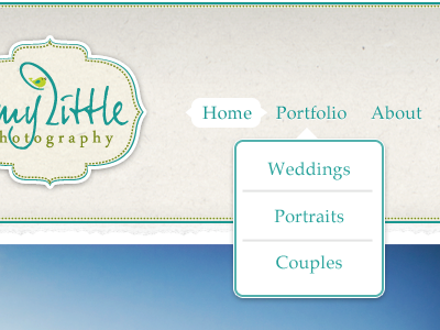 Amy Little Photography ui ui design website design