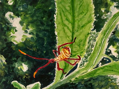 The Whole World is a Garden - 1 bug gouache illustration insect nature painting spring watercolor wildlife