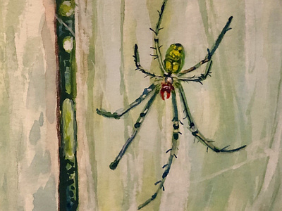 The Whole World is a Garden - 2 arachnid gouache illustration nature painting spider spring watercolor web wildlife
