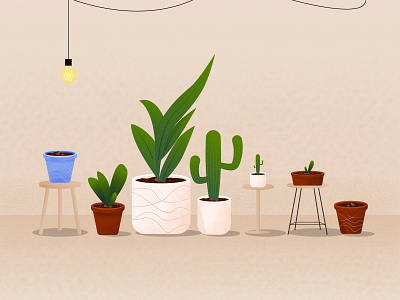 Plants & Pots design flat gradient illustration lamps leaf light minimal plants pots stand table vector