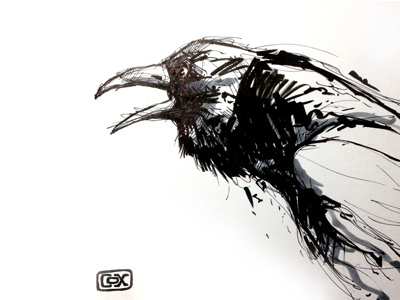 Inktober sketch 1 animal crow doodle ink inktober pen pen and ink russ cox