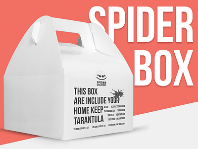 Spider box — Kit for starter brand lending page logo spider