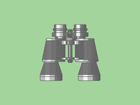 binocular rivalry