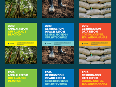 Rainforest Alliance 2019 Annual Report annual report boots forest layout sacks typography