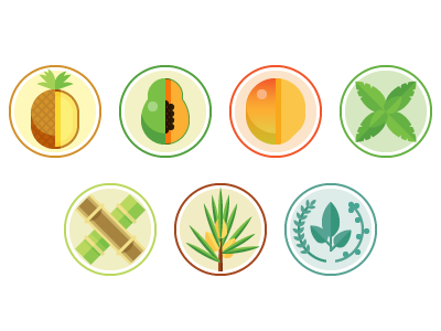 More agriculture icons bamboo herb icon illustration mango papaya pineapple rooibos stevia