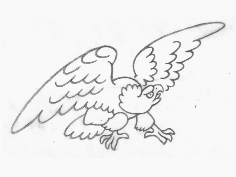 SKRAWWW eagle illustration sketch