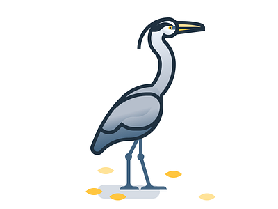 Good Birds of Amsterdam: Heron