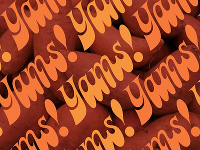 Yams! beer label packaging typography yams