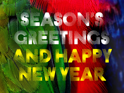 Season's Greetings card feathers holiday typography