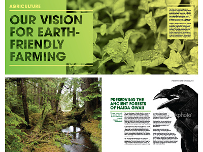 Rainforest Alliance annual report annual report forest layout raven typography