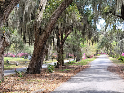 Lane inside Bonaventure Cemetery savannah savannah georgia