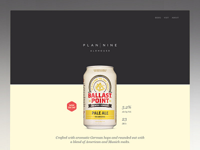 Plan 9 Ale House Web Site cool landing page web site