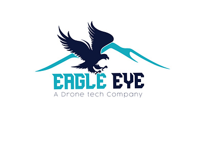 Drone Company Logo designs, themes, templates and downloadable