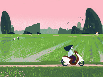 Getting Around Vietnam adventure asia digital green hand drawn illustration landscape pink procreate rice rice paddy scooter travel vietnam zine