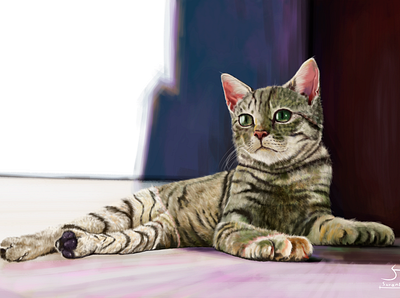 Cat illustration