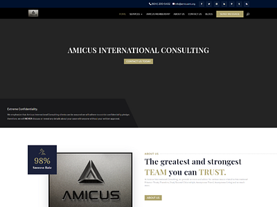 AMICUS WEBSITE DESIGN branding design minimal ui ux uxdesign web web design website