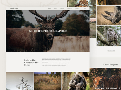 Wildlife Photography Free Figma Website Template