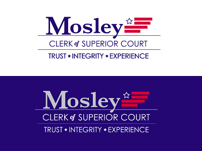 Branding for Tammie Mosley branding candidate flag political star