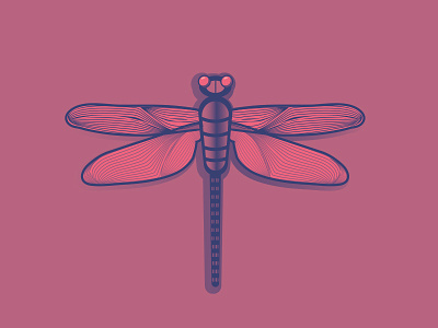 Dragonfly dragonfly flat insect vector