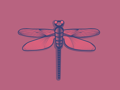 Dragonfly