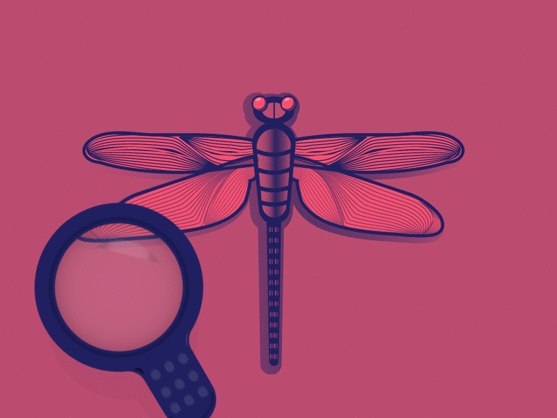 Magnifying glass effect after effects dragonfly magnifying glass