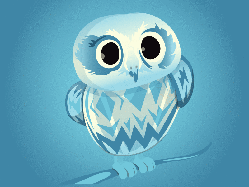 Owl blue night owl
