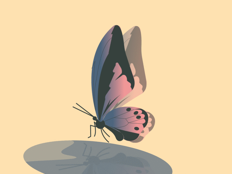 Butterfly by Maria Dixon on Dribbble