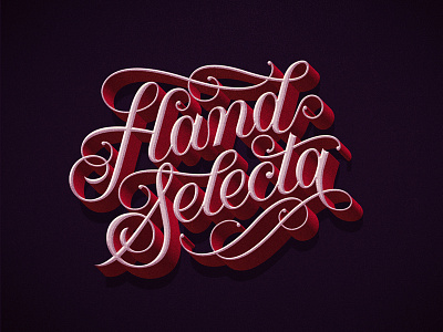 Hand Selecta hand selecta lettering logo script