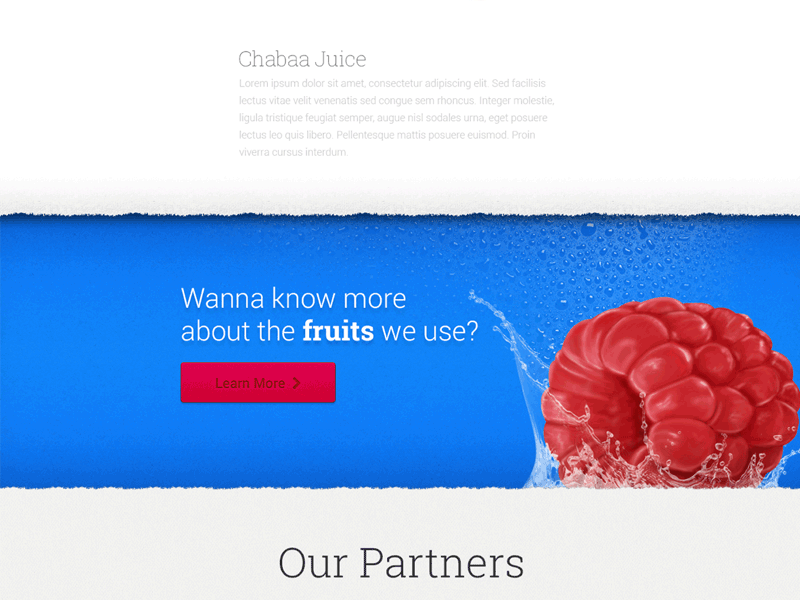 Raspberry Illustration layout website design illustration