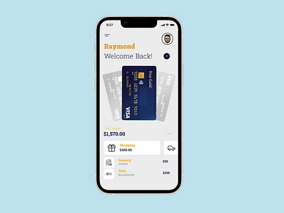 CREDIT CARD USER INTERFACE