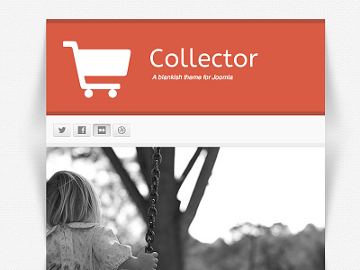 Collector Flickr