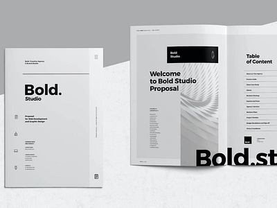 Proposal Template a4 agency brand branding brief brochure business clean company corporate creative design editorial identity indesign layout magazine print proposal template