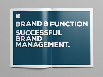 Brand Manual agency brand brand manual brandbook brochure business company corporate design editorial guide guidelines identity indesign informational layout logo magazine manual print