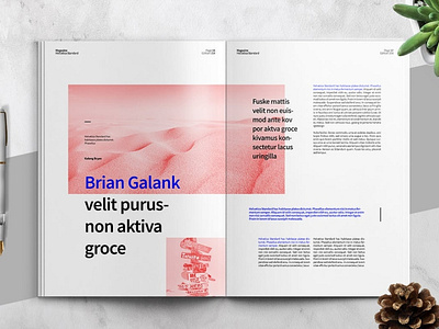 HELVETICA - Magazine Template