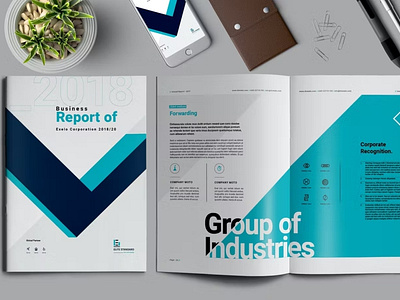 Report Brochure