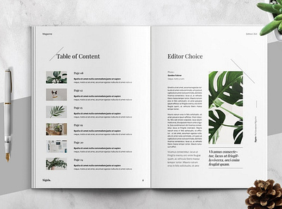 Minimal Magazine Template a4 brochure brochure design brochure template catalog clean design fashion garden graphic design indesign letter lookbook magazine minimal minimalist modern multipurpose portfolio print